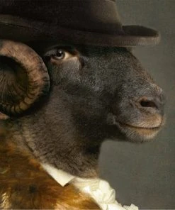 Ibride Mille De Maupin Collector Portraits