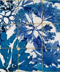 Mind The Gap Algae In Blue Wallpaper Wallpaper & Paint