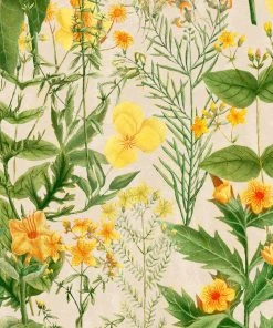 Mind The Gap Mimulus Anthracite Wallpaper