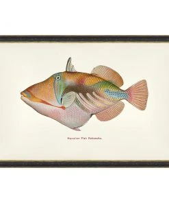 Mind The Gap Havana Tropicana Nakunuku Fish Wall Art