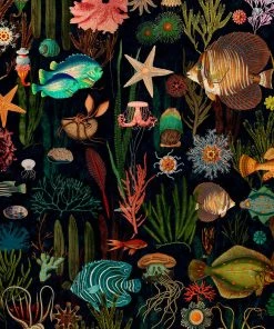 Mind The Gap Oceania Wallpaper Blue Skies Ahead