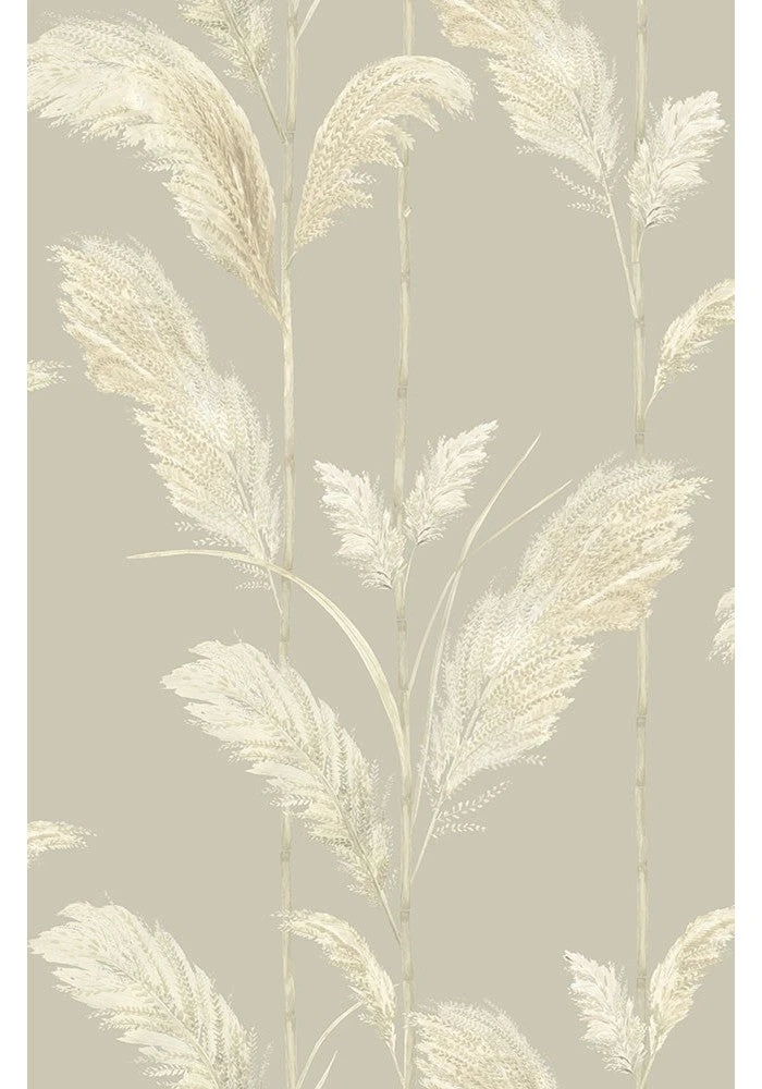 Brand Mckenzie Pampas Grass Wallpaper in Oatmeal - Bohemian Dream Nature & Animals Wallpaper 5 Brand Mckenzie Pampas Grass Wallpaper, Oatmeal