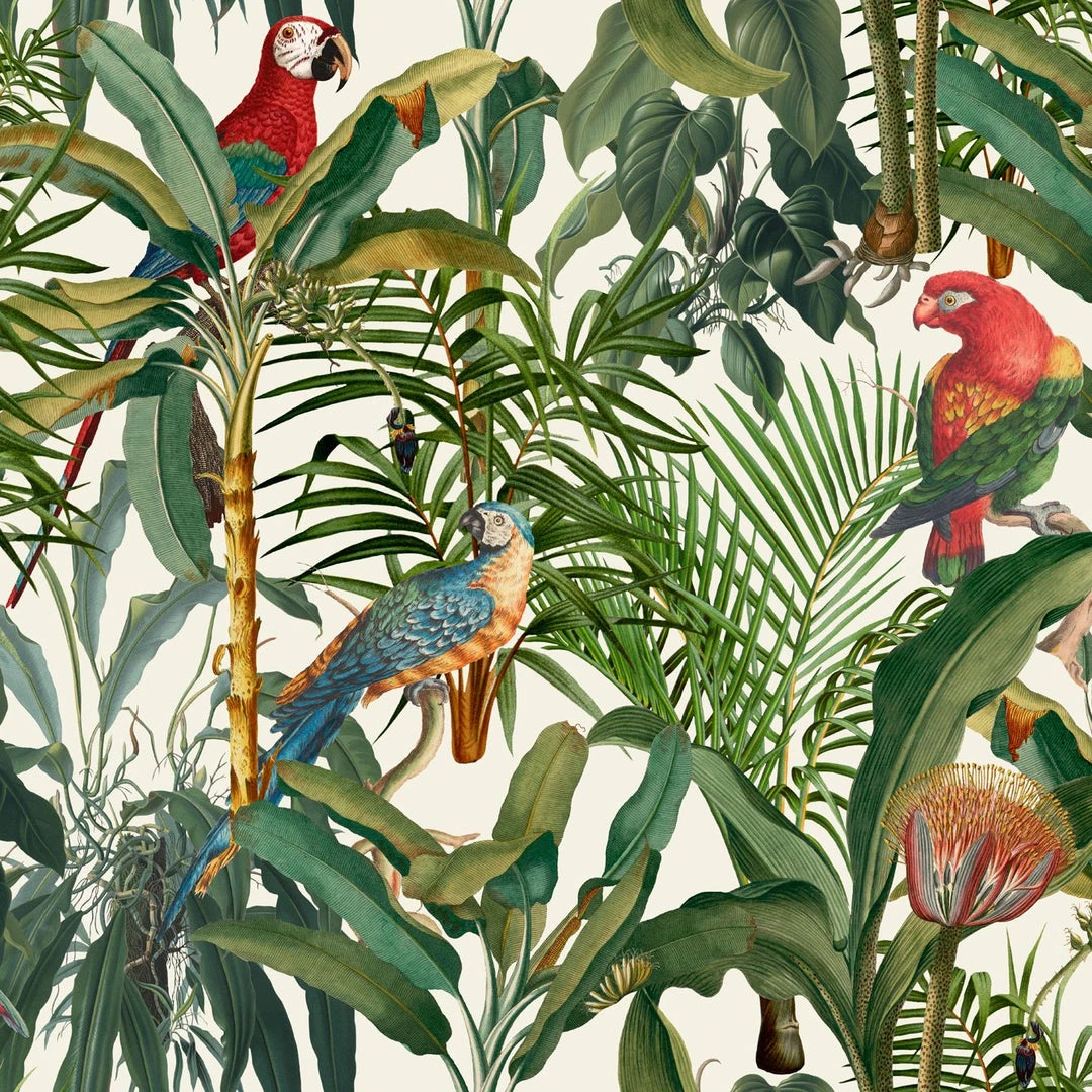Mind The Gap Parrots Of Brasil Wallpaper - Tropical Nature & Animal Design 3 Mind The Gap Wallpaper & Paint Parrots Of Brasil Wallpaper