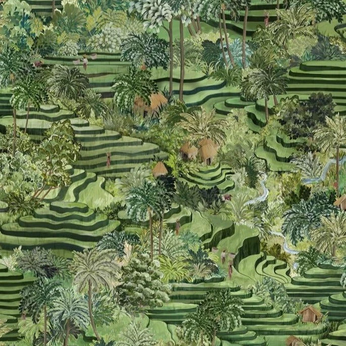 Brand Mckenzie Rice Terrace Wallpaper - Grass Green | Nature-Inspired Home Decor 3 Brand Mckenzie Rice Terrace Wallpaper, Grass Green