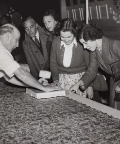 Liberty Fabrics Poppy Meadowfield Wallpaper In Pewter Blue