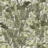 Mind The Gap Tree Foliage Wallpaper Les Jardins Royaux