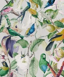 Mind The Gap New Tropical Birds Wallpaper