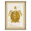 Mind The Gap Sea Life Chelonioidea Wall Art - Blue Skies Ahead - Havana Tropicana Collection 2 Mind The Gap Sea Life Chelonioidea Wall Art Blue Skies Ahead
