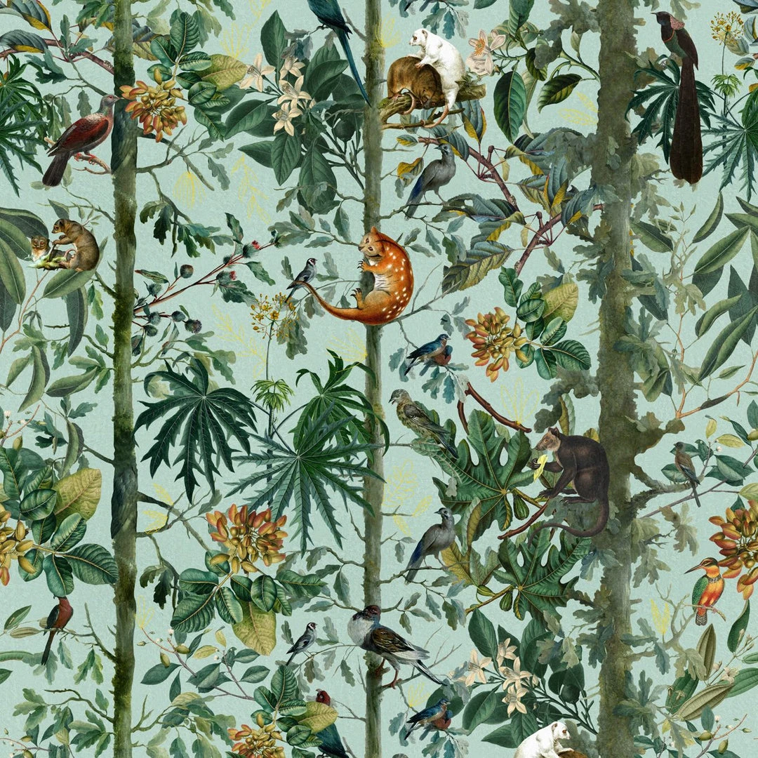 Mind The Gap Wildlife of Papua Wallpaper - Nature & Trees Design for Home Decor 3 Mind The Gap Wallpaper & Paint Wildlife Of Papua Wallpaper