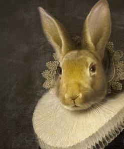 Ibride Zhao Collector Portrait Large Homeware - Luxury Wall Art & Home Decor 9 Ibride Zhao Collector Portrait Large Homeware