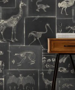 Mind The Gap Zooarchaeology Wallpaper Wallpaper & Paint