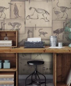 Mind The Gap Zooarchaeology Anthracite Wallpaper Wallpaper & Paint